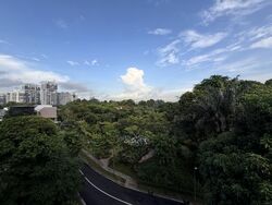 Hills Apartment (D11), Apartment #573194401